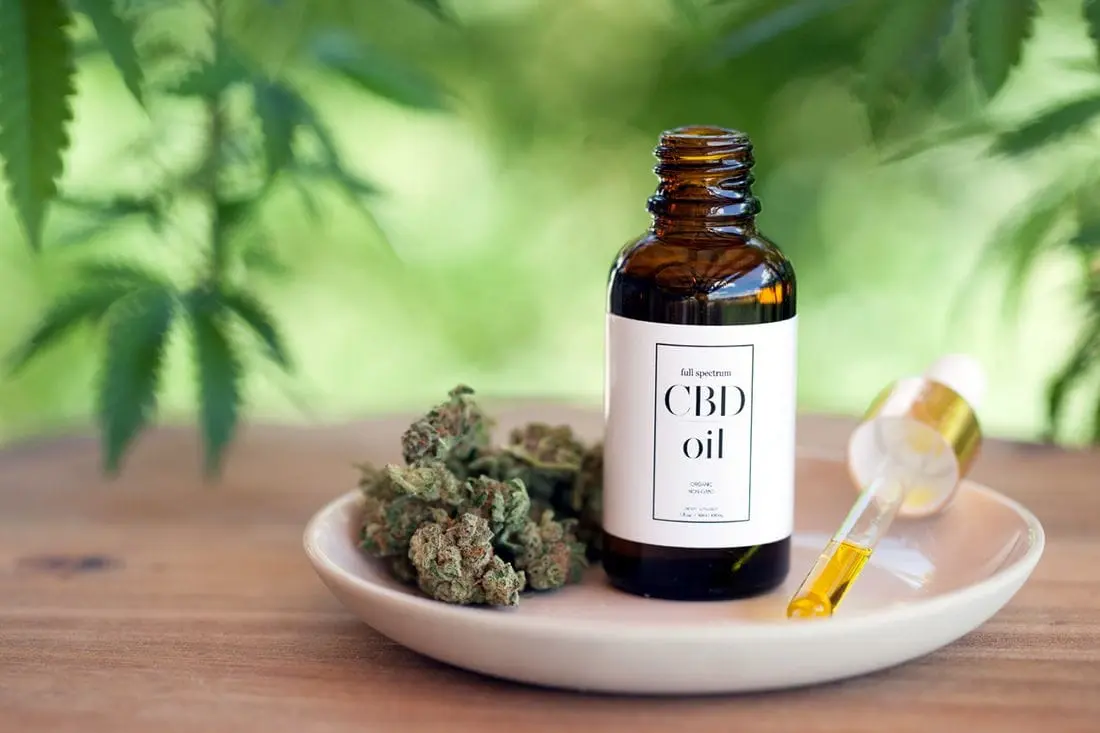 The Complete Guide to CBD Oil: Benefits, Uses, and What You Need to Know